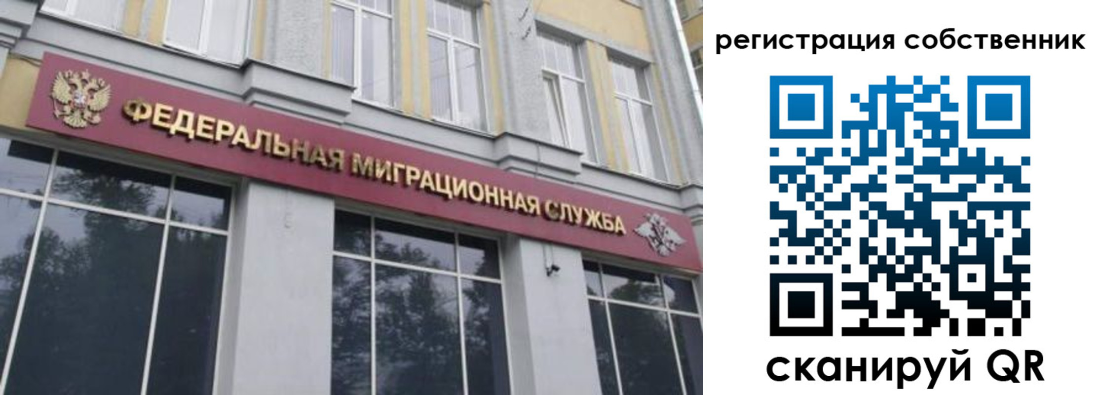 временная регистрация поиск в Алексине